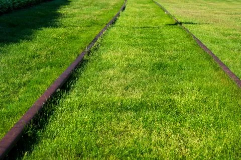 Grass-Covered Train Tracks with Copy-Space Stock Photos
