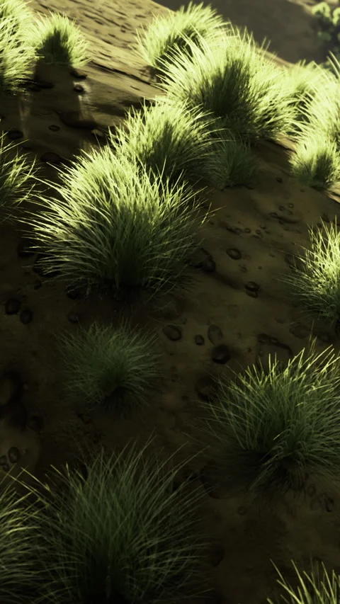 Grass covers a hilly area during daylight hours near a rocky surface Stock Footage 336187076