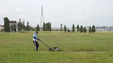 Grass cut Stock Footage 302397548