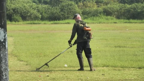 Grass Cutter Field Audio Windy Stock Footage 280377344