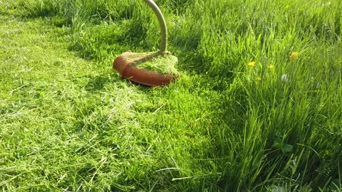 Grass-cutter mowing lawn, handheld grass trimmer working, closeup video Stock Footage 155067336