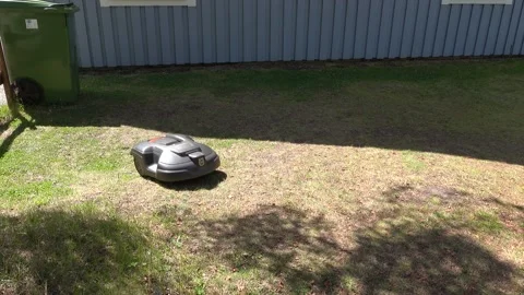 Grass cutter robot in action in a garden Stock Footage 136531785
