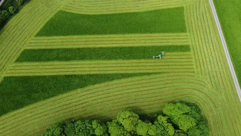 Grass Cutting 4K Video Stock Footage 155403766