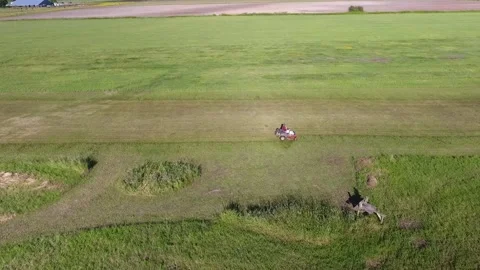 Grass Cutting Farm Field Stock Footage 255235291