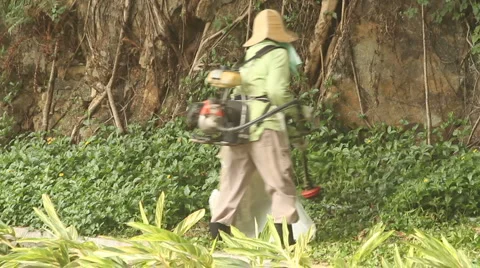 Grass cutting Stock Footage 5738531