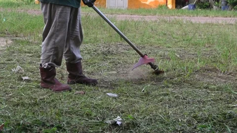 Grass cutting Stock Footage 296092334