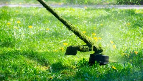 Grass cutting in the garden Stock Photos