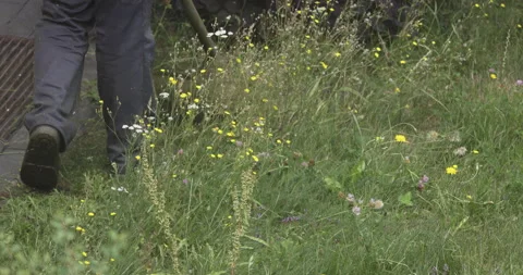 Grass cutting in housing estates, 4K slomo Video stock 258115225