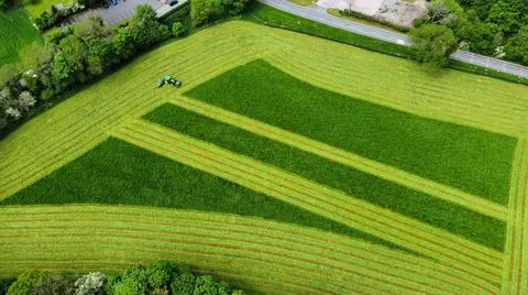 Grass Cutting Foto stock