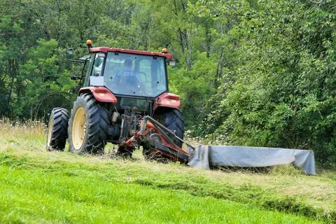 Grass Cutting. Stock Photos