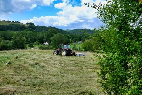 Grass Cutting. Stock Photos
