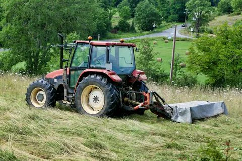 Grass Cutting. Stock Photos