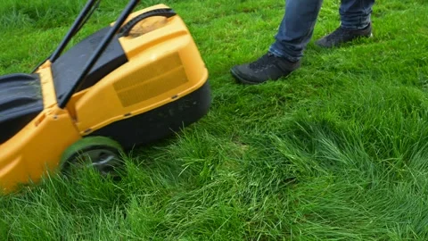 Grass cutting with push lawn mower 4K Stock Footage 319448324