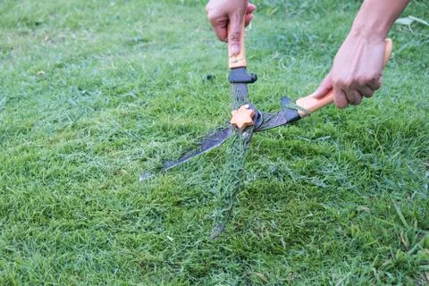 Grass cutting scissors on the grassy background. 스톡 사진