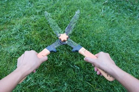 Grass cutting scissors on the grassy background. Stock Photos