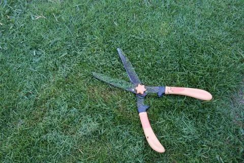 Grass cutting scissors on the grassy background. Stock Photos