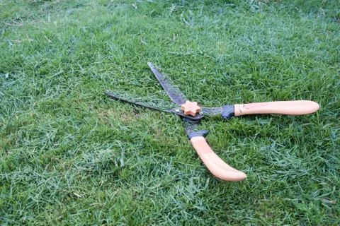 Grass cutting scissors on the grassy background. Stock-Fotos