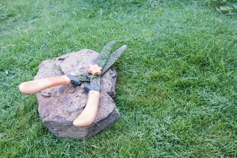 Grass cutting scissors on the grassy background. Foto stock