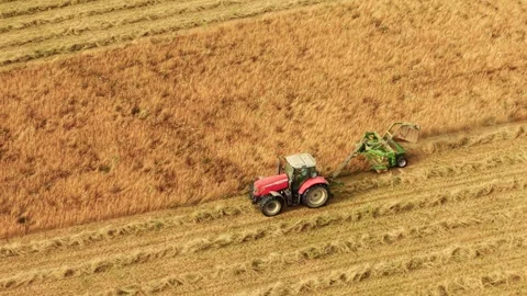 Grass cutting tractor working beside fresh hay windrows in cultivated farmland Video stock 344538560