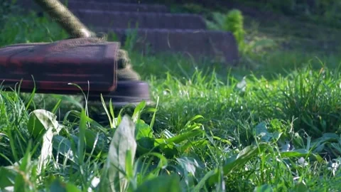 Grass cutting with a trimmer Stock Footage 240663119
