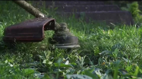 Grass cutting with a trimmer Stock Footage 240663125