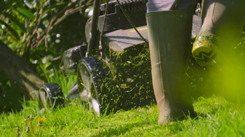 Grass Cuttings Being Ejected from Lawn Mower as Back Yard is Cut During Sunny Stock Footage 334020037