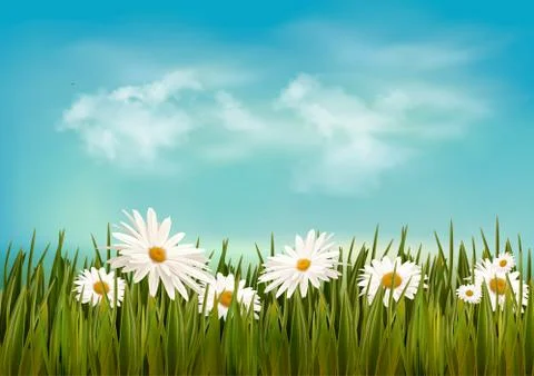 Grass with daisies under blue sky. retro background. vector. Stock Illustration