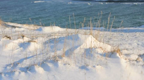 Grass In Deep Snow Stock Footage 953850