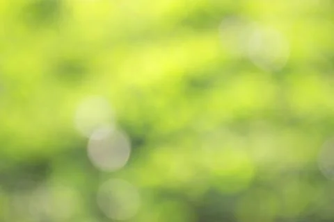 Grass defocused background Stock Photos