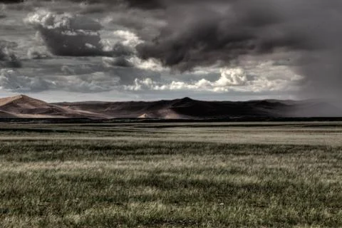 Grass desert storm Stock Photos
