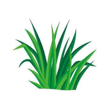Grass design vector illustration. green plant grows in yard. Illustrazione stock