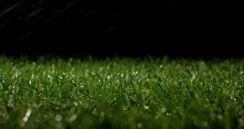 Grass with dew drops. Blurred Grass Background With Water Drops closeup. Stock Footage 97438247