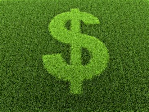 Grass dollar sign 库存插图