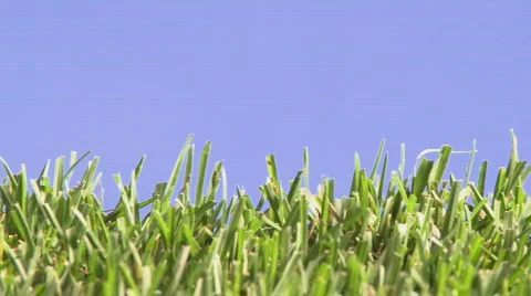 Grass dolly at blue sky Stock Footage 115752