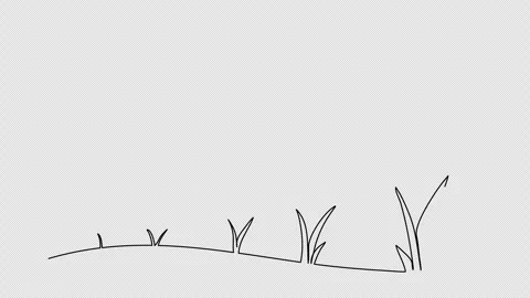 Grass doodle. One line drawing animation with alpha channel. Stock Footage 271735124