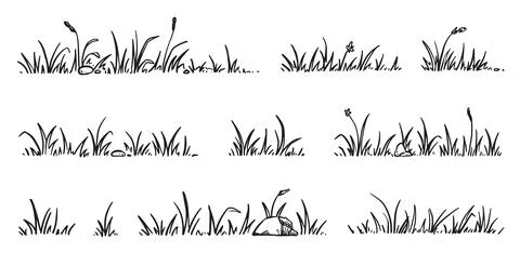 Grass doodle sketch style set. Hand drawn grass field outline scribble Stock Illustration