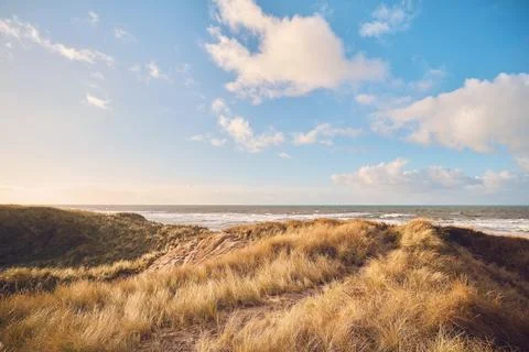 Grass Dunes in Denmark Stock Photos