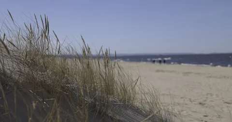 Grass on the dunes, waves in the sea in the background, 4K Stock Footage 184032991