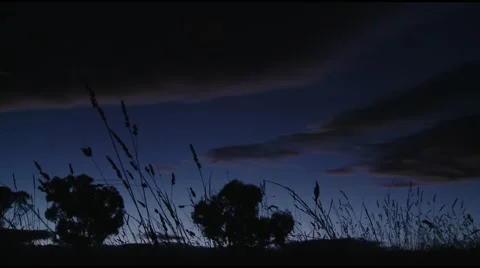 Grass at dusk Timelapse Stock Footage 2306066