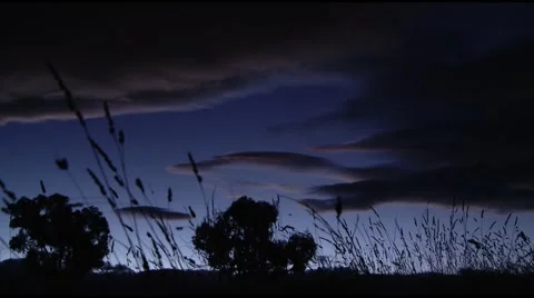 Grass at dusk Timelapse Stock Footage 2306356
