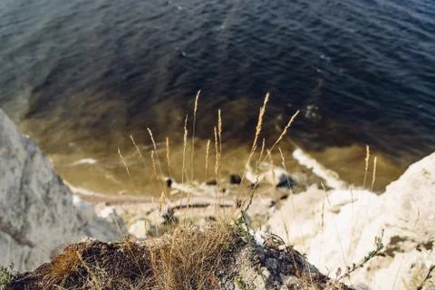 Grass on the edge of cliff Stock Photos