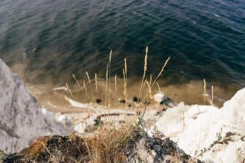 Grass on the edge of cliff Stock Photos