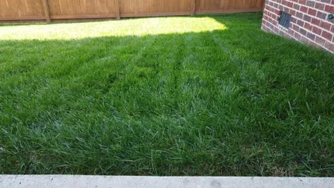 Grass With Edge of House Fotos de archivo