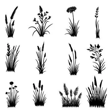 Grass elements set collection vector illustration Illustrazione stock