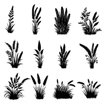 Grass elements set collection vector illustration Stockillustratie