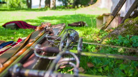 Grass exhibited antique weapons Stock Footage 41693820