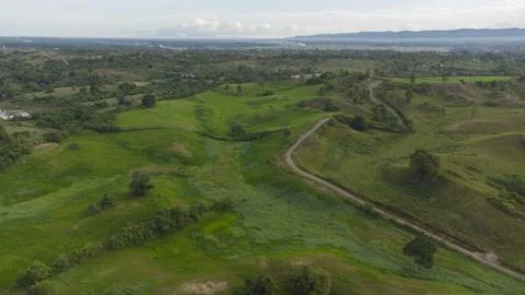 Grass expanse Stock Photos