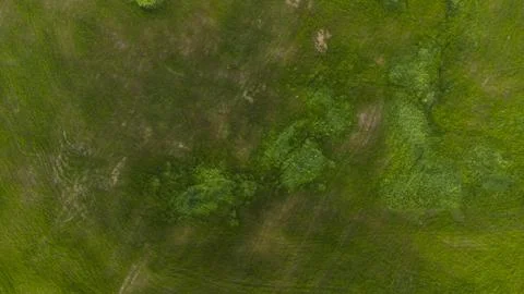 Grass expanse Stock Photos