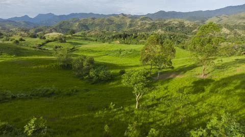 Grass expanse Stock Photos