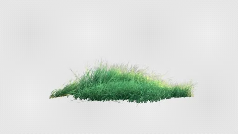 Grass Fast with Alpha Loop Stock Footage 195640801